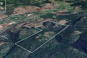 94 Langford Road - Photo 13