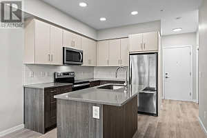 2301 Carrington Road Unit# 323 - Photo 2