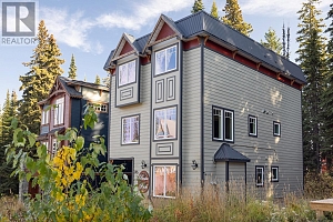 385 Monashee Road - Photo 3
