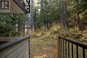 385 Monashee Road - Photo 43