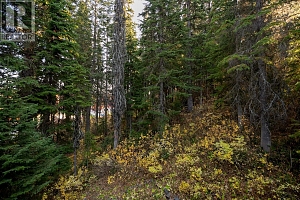 385 Monashee Road - Photo 44