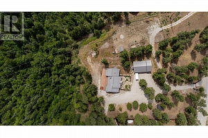 4335 Maxwell Road - Photo 5
