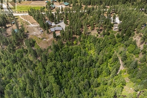 4335 Maxwell Road - Photo 60