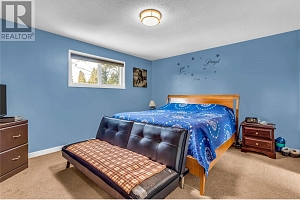 11441 Reiswig Road - Photo 12