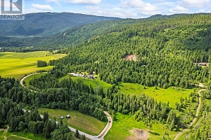 53 Cawley Road - Photo 11