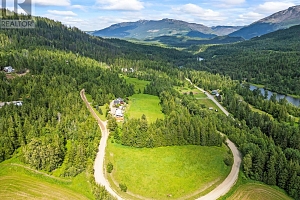 53 Cawley Road - Photo 8