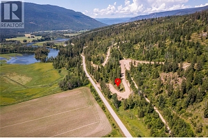 1471 Enderby Mabel Lake Road - Photo 10