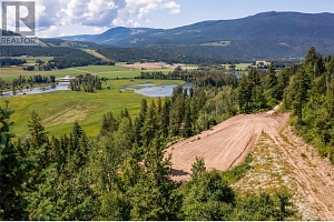 1471 Enderby Mabel Lake Road - Photo 11