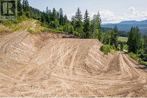 1471 Enderby Mabel Lake Road - Photo 2