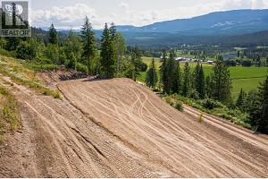 1471 Enderby Mabel Lake Road - Photo 3