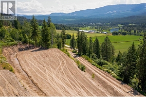 1471 Enderby Mabel Lake Road - Photo 4