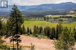 1471 Enderby Mabel Lake Road - Photo 5