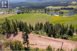 1471 Enderby Mabel Lake Road - Photo 6