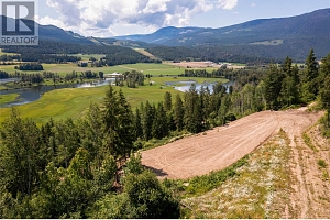 1471 Enderby Mabel Lake Road - Photo 8