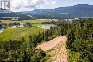 1471 Enderby Mabel Lake Road - Photo 9