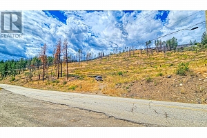 9200 Westside Road Lot# 2 - Photo 16