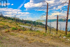 9200 Westside Road Lot# 2 - Photo 4