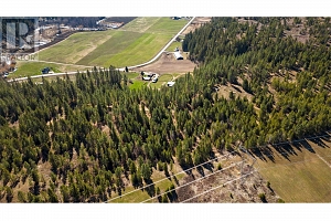 2720 Salmon River Road - Photo 10