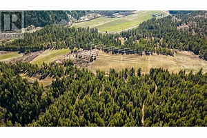 2720 Salmon River Road - Photo 8