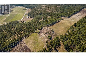 2720 Salmon River Road - Photo 9