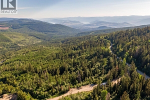 9190 Silver Star Road - Photo 11