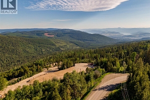 9190 Silver Star Road - Photo 7