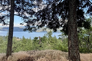 90 Crown Crescent - Photo 15