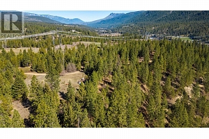 2720 Salmon River Road - Photo 11