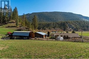 2720 Salmon River Road - Photo 21