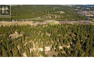 2720 Salmon River Road - Photo 59