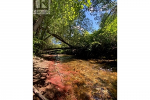 20 Wallace Mountain Road - Photo 17