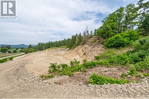 229 Enderby Grindrod Road - Photo 10