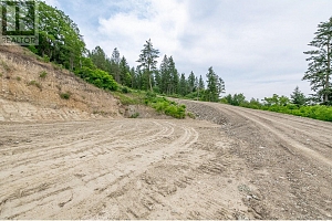 229 Enderby Grindrod Road - Photo 12