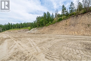 229 Enderby Grindrod Road - Photo 13