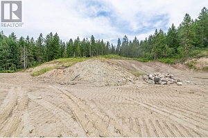 229 Enderby Grindrod Road - Photo 14