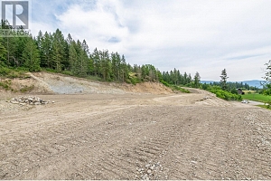 229 Enderby Grindrod Road - Photo 16