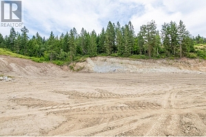 229 Enderby Grindrod Road - Photo 19