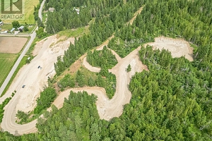 229 Enderby Grindrod Road - Photo 2