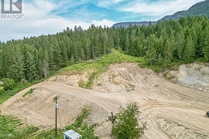 229 Enderby Grindrod Road - Photo 22