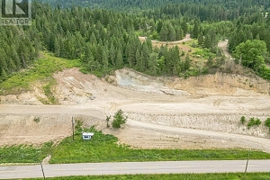 229 Enderby Grindrod Road - Photo 23