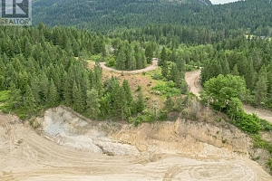 229 Enderby Grindrod Road - Photo 25