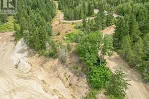 229 Enderby Grindrod Road - Photo 27