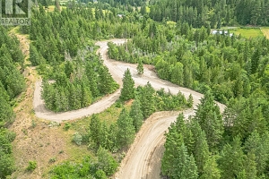 229 Enderby Grindrod Road - Photo 28