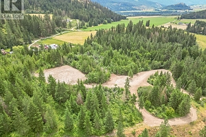 229 Enderby Grindrod Road - Photo 31