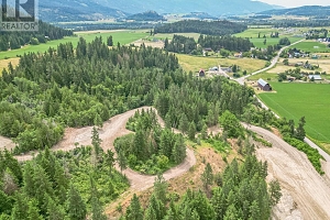 229 Enderby Grindrod Road - Photo 32