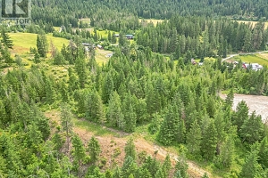 229 Enderby Grindrod Road - Photo 33