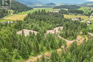 229 Enderby Grindrod Road - Photo 34