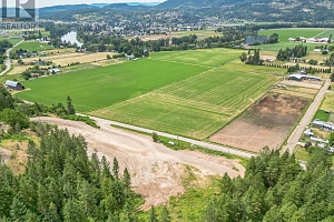 229 Enderby Grindrod Road - Photo 35