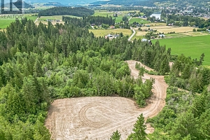 229 Enderby Grindrod Road - Photo 36