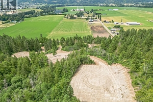 229 Enderby Grindrod Road - Photo 37